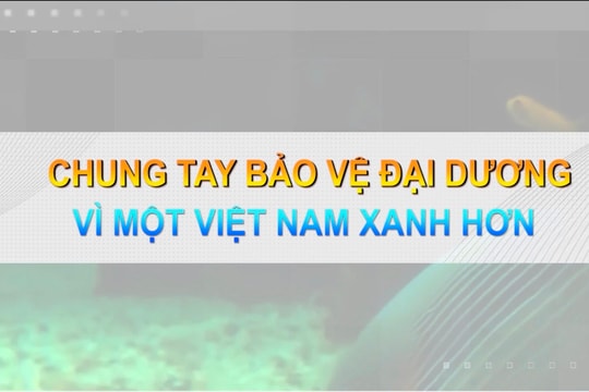 Phóng sự "Chung tay bảo vệ đại dương - Vì một Việt Nam xanh hơn"