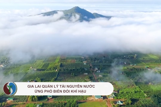 Gia Lai quản lý tài nguyên nước ứng phó biến đổi khí hậu