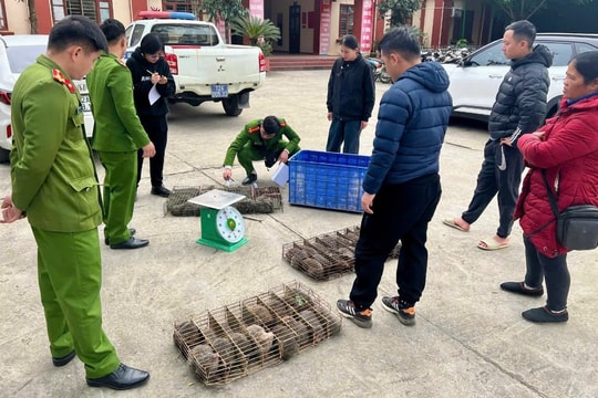 Lạng Sơn: Tăng cường bảo vệ động vật hoang dã