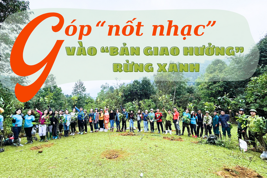 Góp "nốt nhạc" vào "bản giao hưởng" rừng xanh