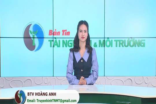 Bản tin Truyền hình TN&MT số 1/2025 (số 388)