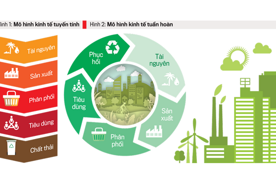 Dự thảo Nghị định về cơ chế thử nghiệm phát triển kinh tế tuần hoàn