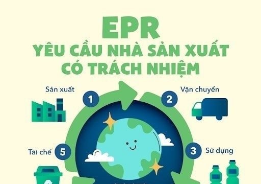 Điều chuyển đầu mối quản lý, tổ chức thực hiện quy định EPR