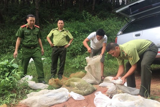 Lạng Sơn: Đẩy mạnh thực thi pháp luật về bảo tồn đa dạng sinh học