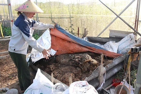 Quản lý chất thải rắn sinh hoạt tại nông thôn: “Bài toán khó” cần lời giải