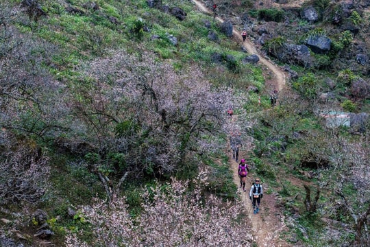 Hơn 3.100 vận động viên tham gia tranh tài Giải chạy Marathon đường mòn Việt Nam 2025