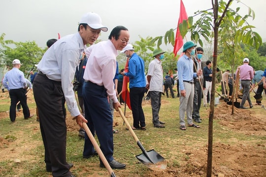 Nghệ An: Chuẩn bị Kế hoạch tổ chức lễ phát động “Tết trồng cây đời đời nhớ ơn Bác Hồ”