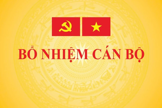 Bổ nhiệm ông Trịnh Mạnh Linh giữ chức Phó Chủ nhiệm Văn phòng Chính phủ