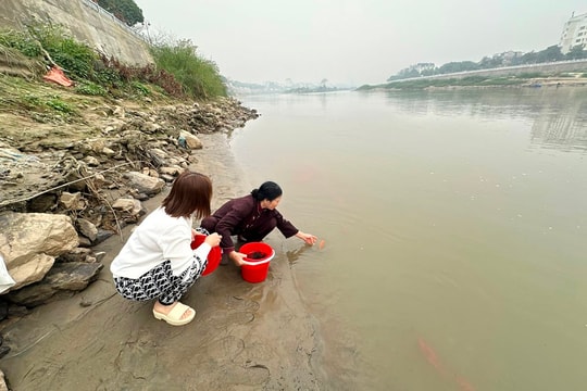 Lào Cai: Hưởng ứng ngày hội “Bảo vệ môi trường, thả giống phóng sinh”