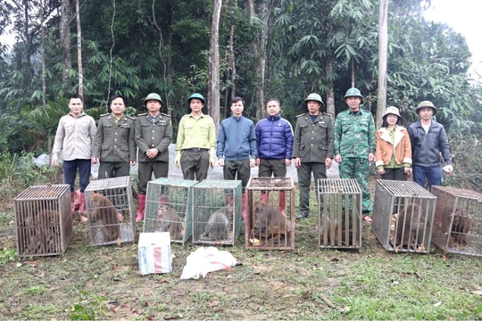 Lào Cai: Đẩy mạnh bảo tồn đa dạng sinh học và bảo vệ các loài hoang dã