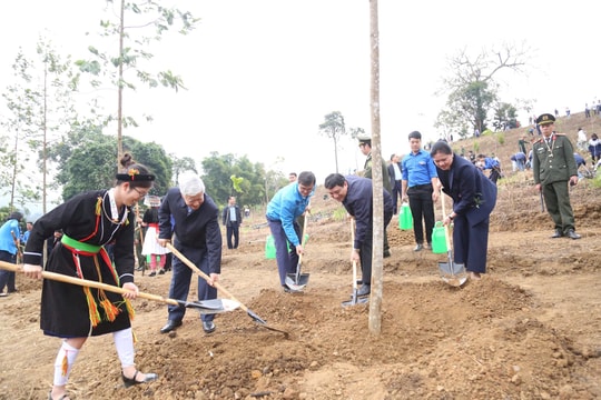 Trung ương Đoàn phát động Tết trồng cây Xuân Ất Tỵ 2025