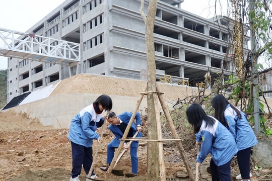 Lào Cai: Phát động Tết trồng cây Xuân Ất Tỵ 2025