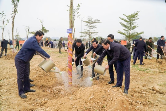 Thanh Hóa: Tổ chức “Tết trồng cây đời đời nhớ ơn Bác Hồ” Xuân Ất Tỵ 2025