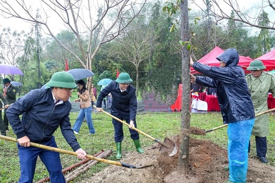 Hà Tĩnh: Sẽ trồng gần 900 nghìn cây xanh dịp xuân Ất Tỵ năm 2025