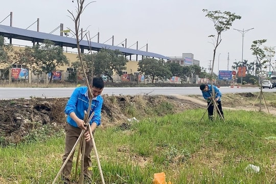 TP. Hải Dương: Trồng trên 10 nghìn cây xanh vào dịp Xuân Ất Tỵ