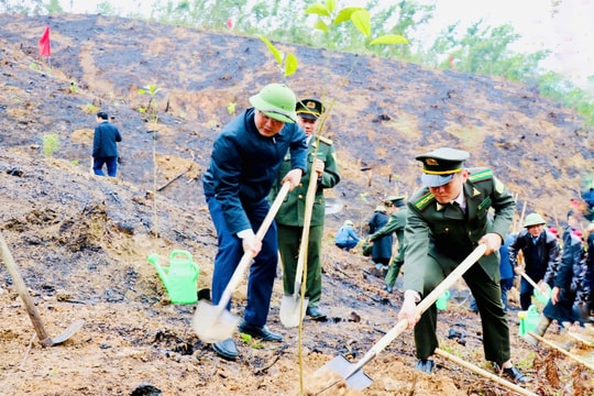 Sơn Động (Bắc Giang): Phát động trồng 1,2 triệu cây phân tán các loại