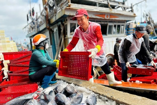 Quảng Ngãi: Bám biển xuyên Tết, ngư dân phấn khởi ngày xuân