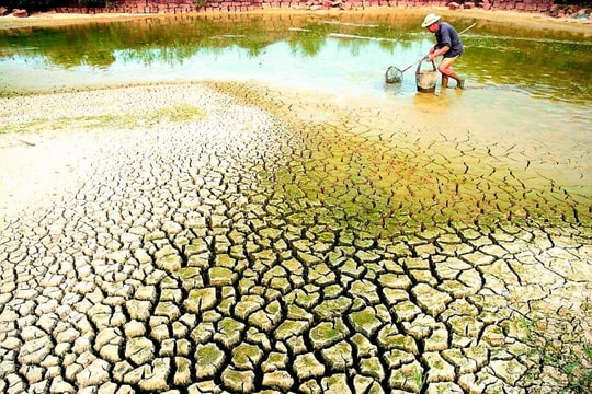 Thủ tướng yêu cầu chủ động ứng phó đợt xâm nhập mặn cao điểm ở Đồng bằng sông Cửu Long và Thành phố Hồ Chí Minh