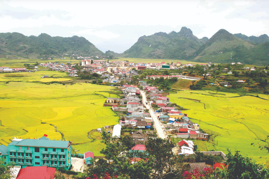 Miên man niệm khúc tháng Giêng