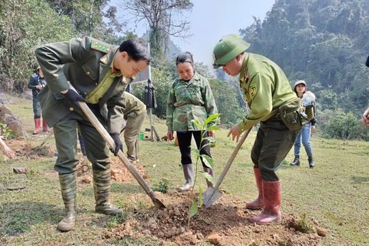 Bắc Kạn: Quyết tâm trồng mới 3.500 ha rừng