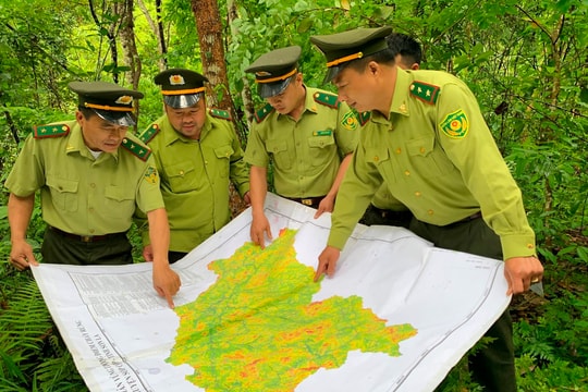 Sơn La: Công bố hiện trạng rừng tỉnh năm 2024