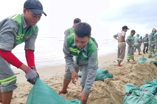 Quảng Ngãi: Huy động hằng trăm nhân lực làm kè bảo vệ bờ biển Mỹ Khê