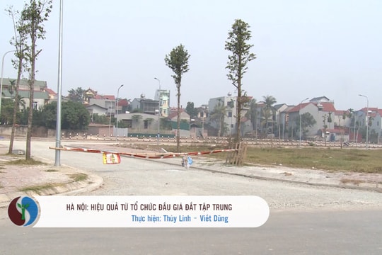 Hà Nội: Hiệu quả từ tổ chức đấu giá đất tập trung