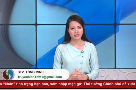 Bản tin Truyền hình Tài nguyên và Môi trường số 12/2020 (129)