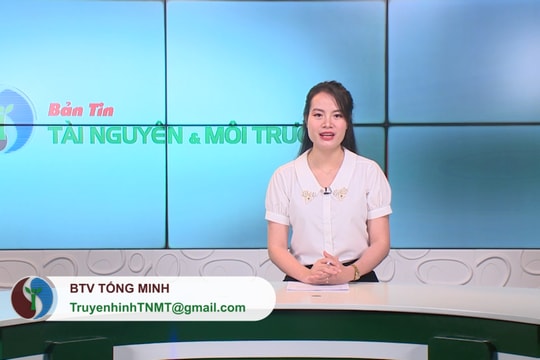 Bản tin Truyền hình Tài nguyên và Môi trường số 17/2020 (số 134)