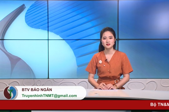 Bản tin Truyền hình Tài nguyên và Môi trường số 20/2020 (số 137)