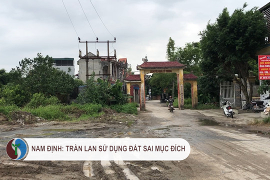 Ý Yên - Nam Định: Tràn lan sử dụng đất sai mục đích  
