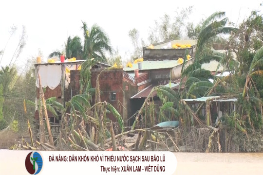 Đà Nẵng: Dân khốn khổ vì thiếu nước sạch sau bão lũ 
