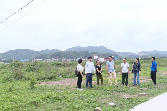Bắc Giang: Khu đất dịch vụ 10 năm chưa có điện, nước
