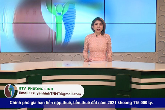 Bản tin truyền hình Tài nguyên và Môi trường số 19/2021 (số 186)