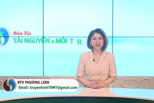 Bản tin truyền hình Tài nguyên và Môi trường số 39/2021 (số 206)