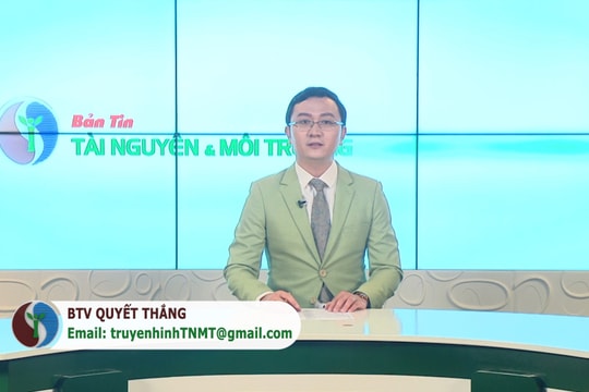 Bản tin truyền hình Tài nguyên và Môi trường số 43/2021 (Số 210)