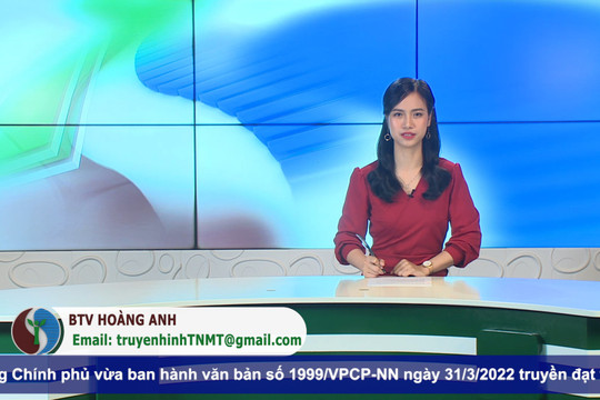 Bản tin truyền hình Tài nguyên và Môi trường số 13/2022 (số 233)