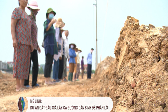 Mê Linh: Dự án đất đấu giá lấy cả đường dân sinh để phân lô