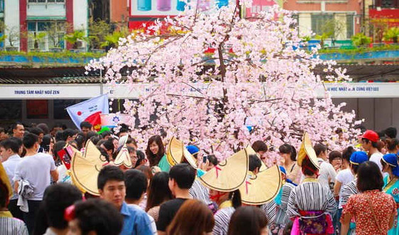Hoàng thành Thăng Long sẽ là điểm diễn ra Lễ hội Hoa Anh đào Nhật Bản 2015
