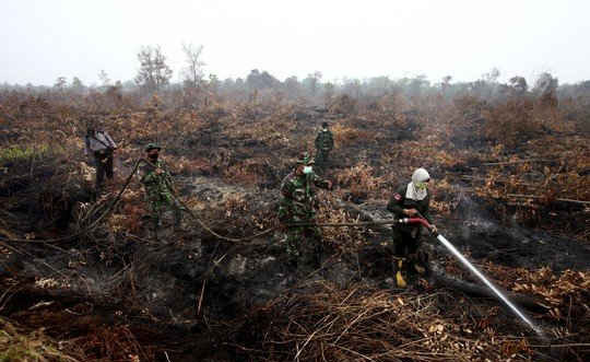 Cháy rừng ở Indonesia hại láng giềng