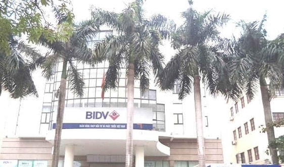 Giả mạo phương án kinh doanh, BIDV Vĩnh Phúc vẫn cho vay tiền tỷ