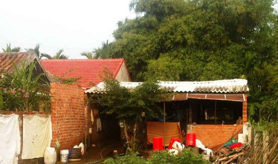 Quảng Nam: "Trảm" trại lợn gây ô nhiễm mà Báo TN&MT nêu