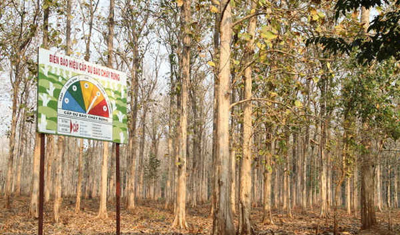 Đắk Lắk: Cảnh báo cháy rừng cấp cực kỳ nguy hiểm, lấy phòng là chính