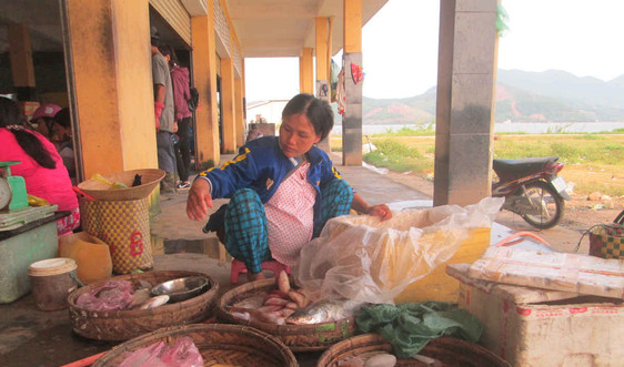 Quảng Bình bắt giữ 1 tấn cá chết nhiễm độc đưa lên miền núi tiêu thụ