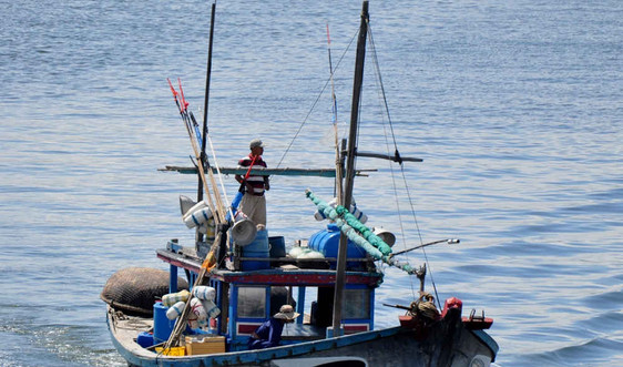 DN chế biến thủy sản sẽ là hậu phương vững chắc cho ngư dân bám biển