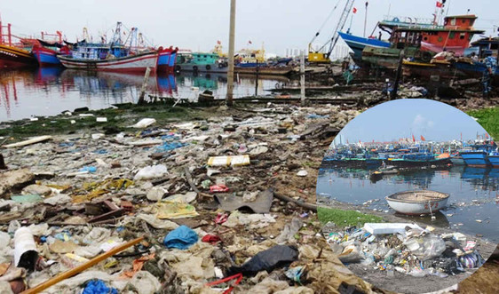 Chủ tịch Đà Nẵng ra "tối hậu thư" xử lý ô nhiễm tại Âu thuyền Thọ Quang