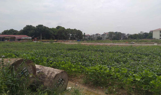 Từ Sơn - Bắc Ninh: Hô biến 7 lô đất dịch vụ thành đất vườn hoa