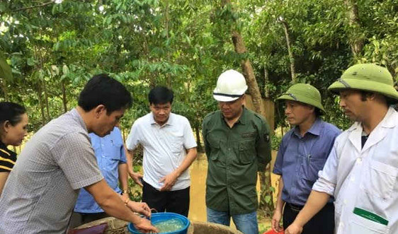 Hà Tĩnh: Hơn 6.000 giếng nước, công trình vệ sinh được xử lý sau mưa lũ