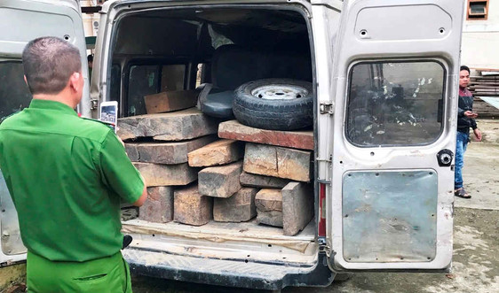 Quảng Nam: Liên tục bắt giữ gỗ lậu trong những ngày giáp Tết