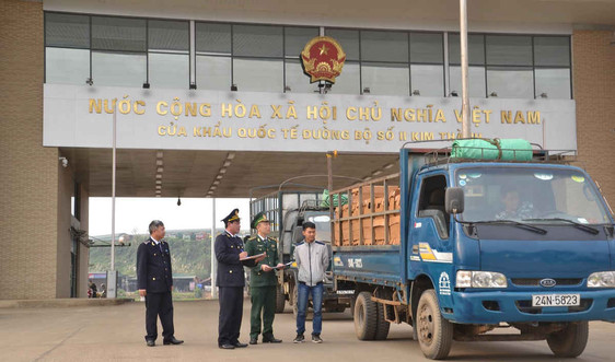 Xuất khẩu 4,8 tấn tôm hùm tươi sống qua cửa khẩu quốc tế Lào Cai